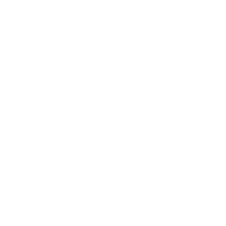 ce logo Guadalajara